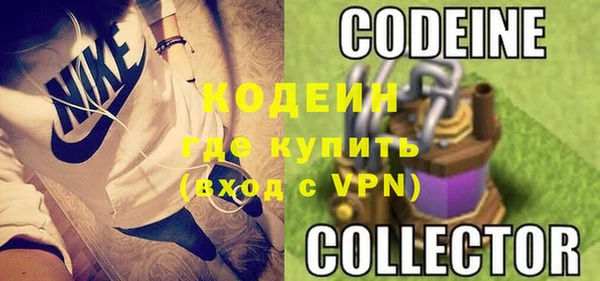 крисы Горняк